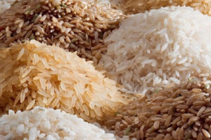 Rice